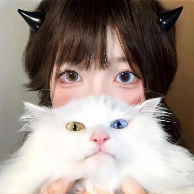 斗鸡